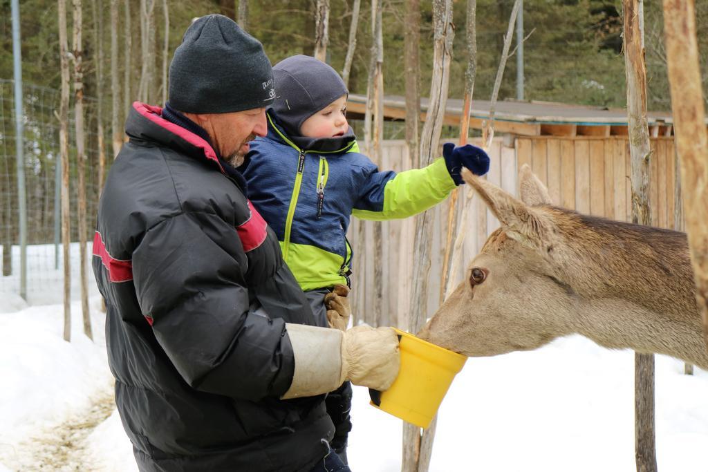 Hebergement Cerfs-Tifie fermette Saint-Félix-d'Otis Eksteriør billede